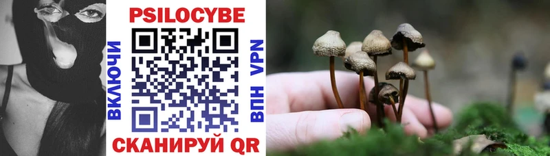 Купить  Петропавловск-Камчатский  Псилоцибиновые грибы GOLDEN TEACHER 